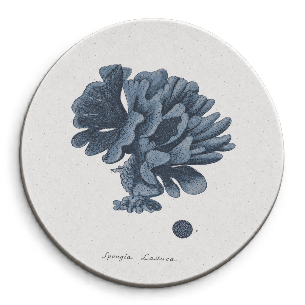 Pack Bastidor Circular Coral 40cm