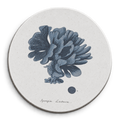 Bastidor Circular Coral Spongia lactuca