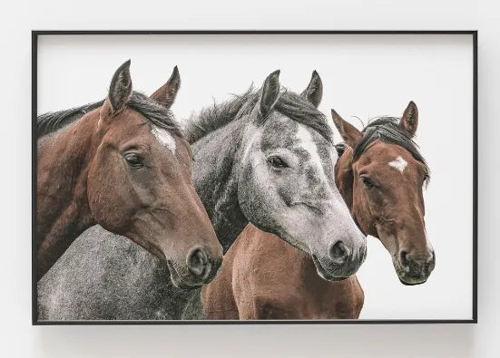 CANVAS TRÍO CABALLOS