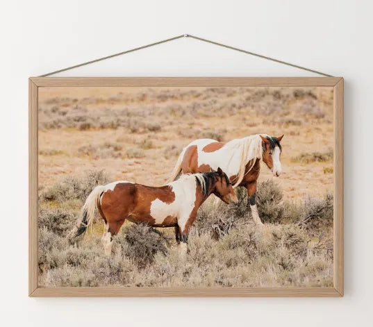 Caballos II
