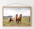 Caballos Overo & toffee