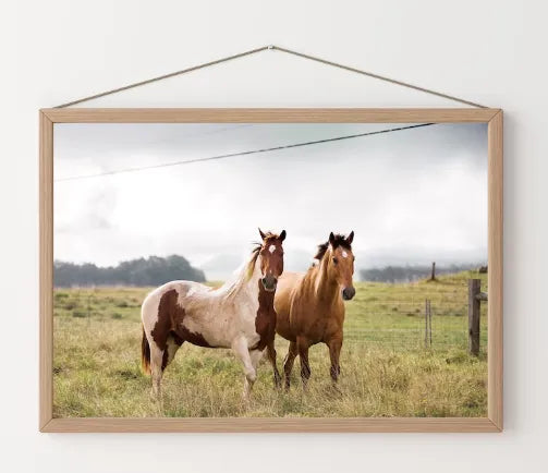 Caballos Overo & toffee