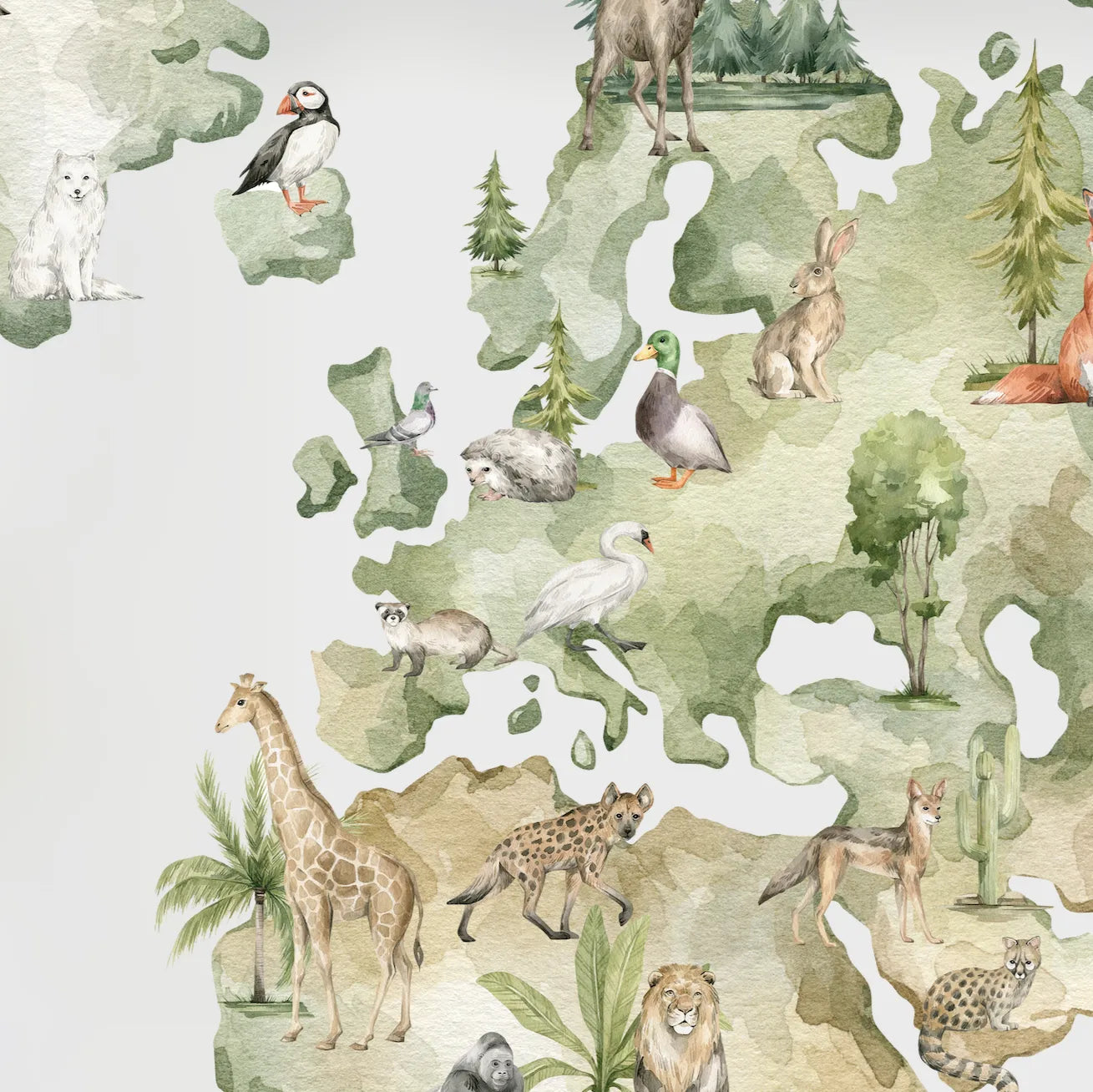 Lona Mapa Ilustrado