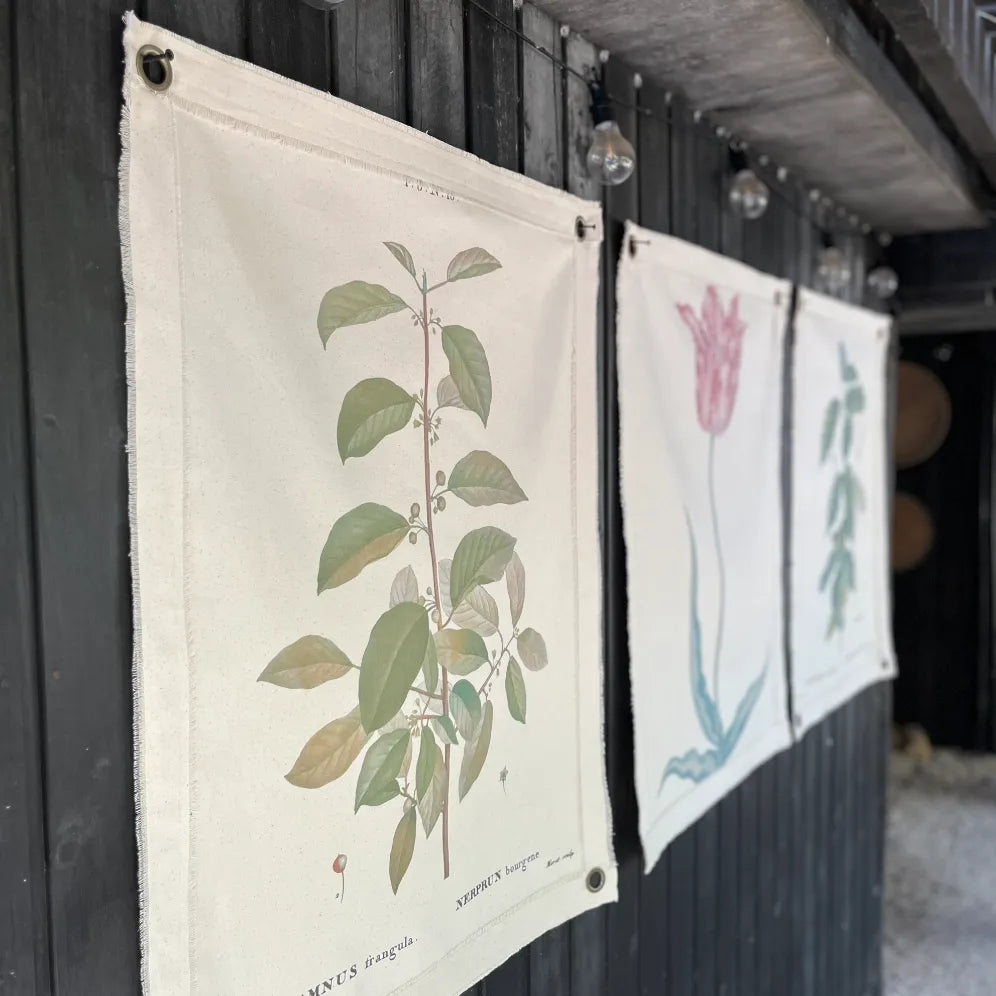 Lona Rhamnus STOCK INMEDIATO