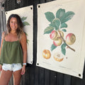 Lona Pommier