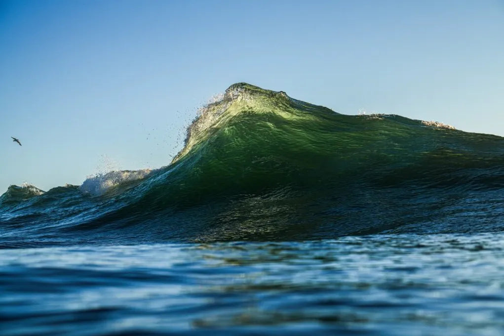 TRÍO OLAS