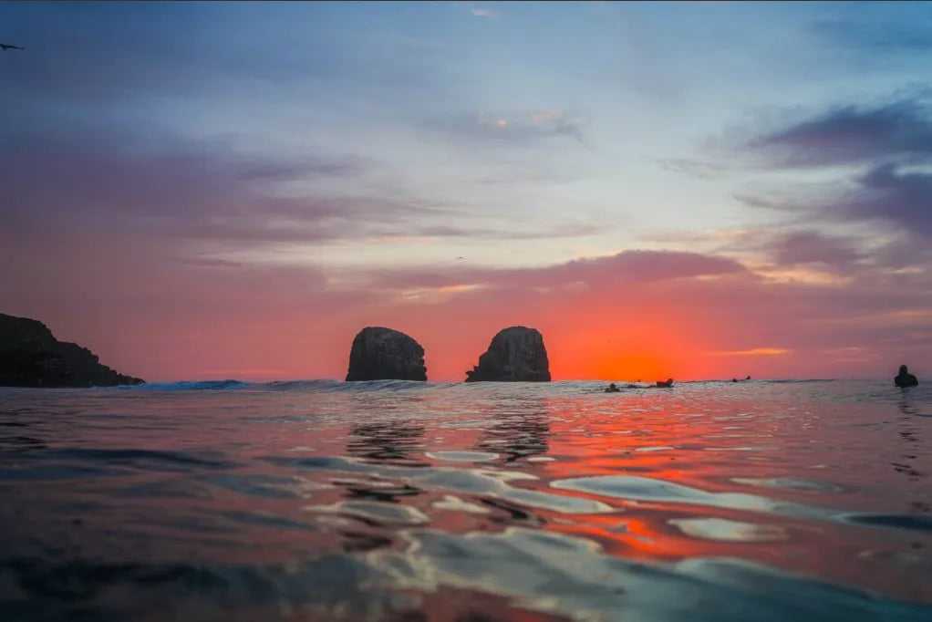 MORRO PUNTA DE LOBOS II