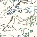 PAPEL MURALBIRD PARADE