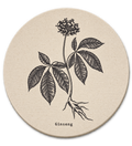 Bastidor Circular Botanico I