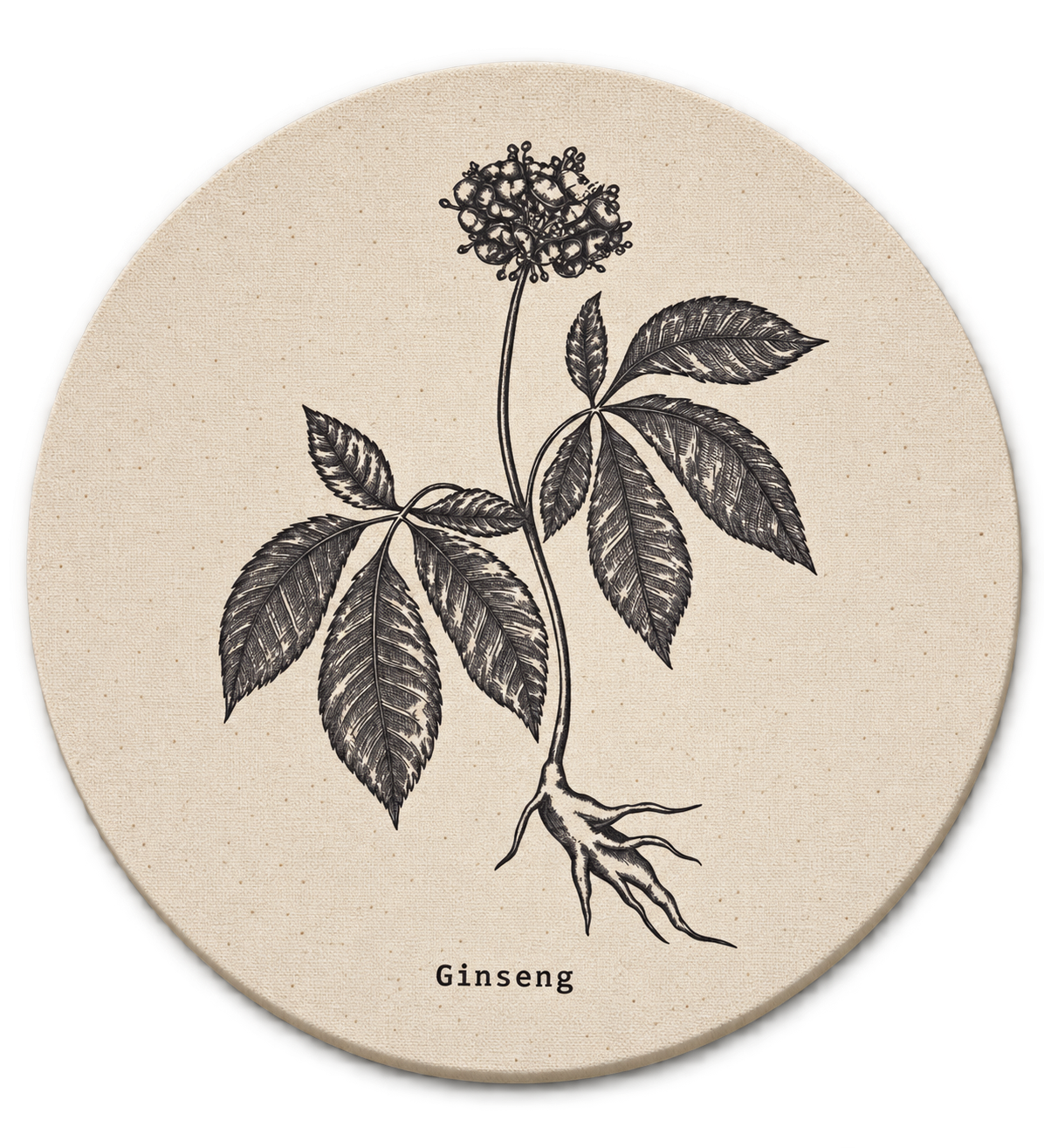 Bastidor Circular Botanico I