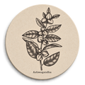 Bastidor Circular Botanico II