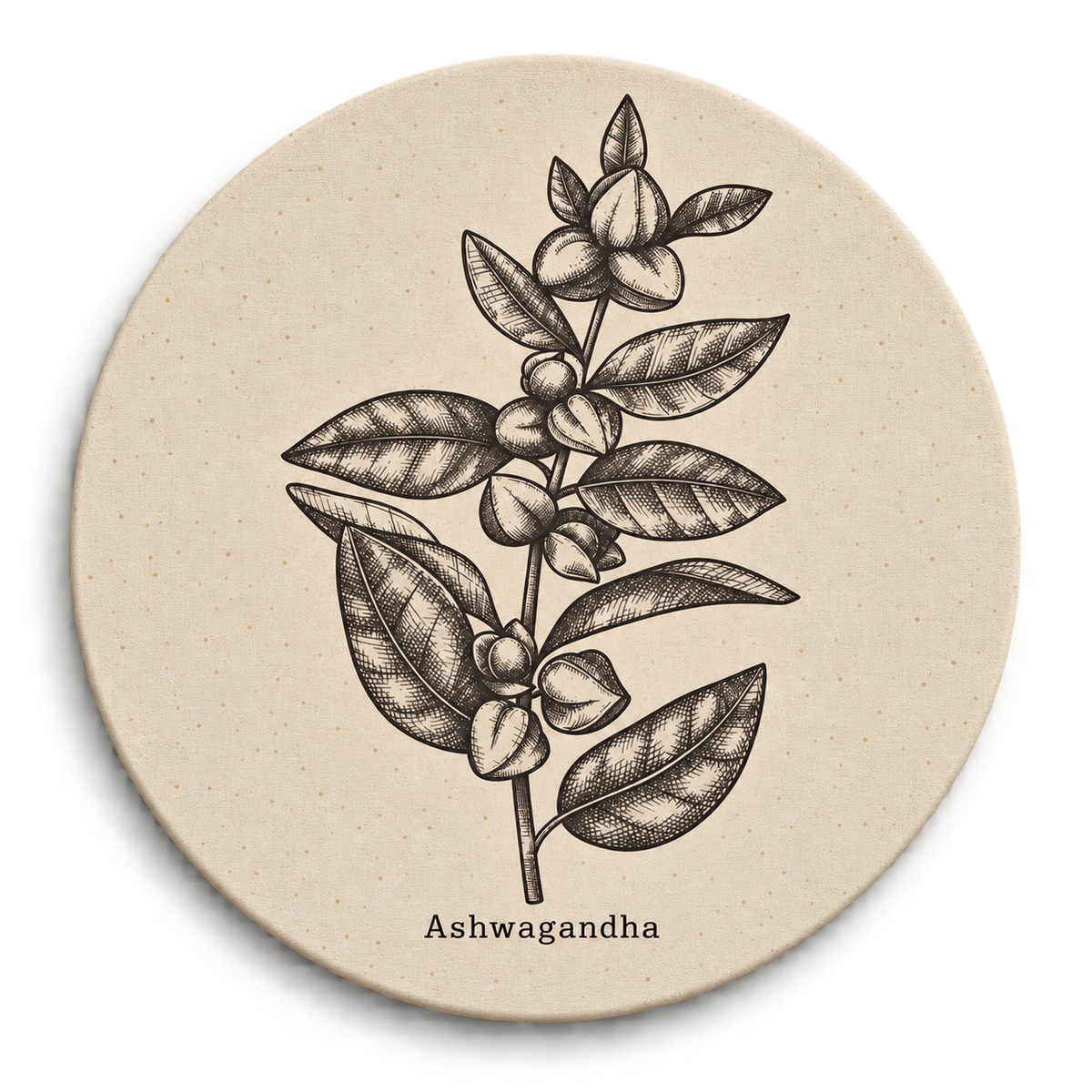 Bastidor Circular Botanico II