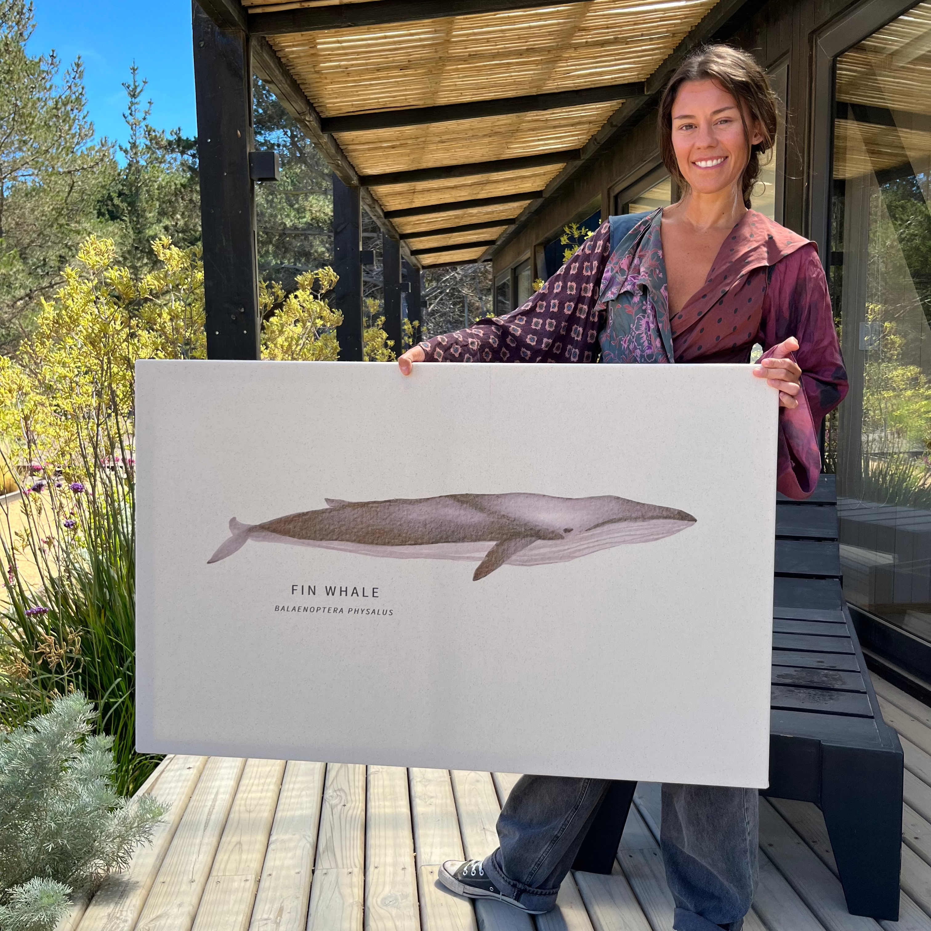 Cuadro Ballena Fin Whale
