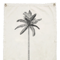 PALMERA II