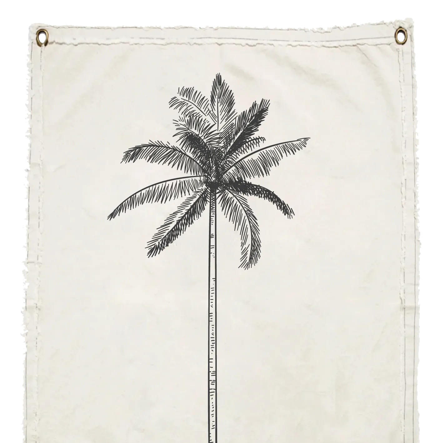 PALMERA II