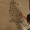 Pajaro Carpintero II