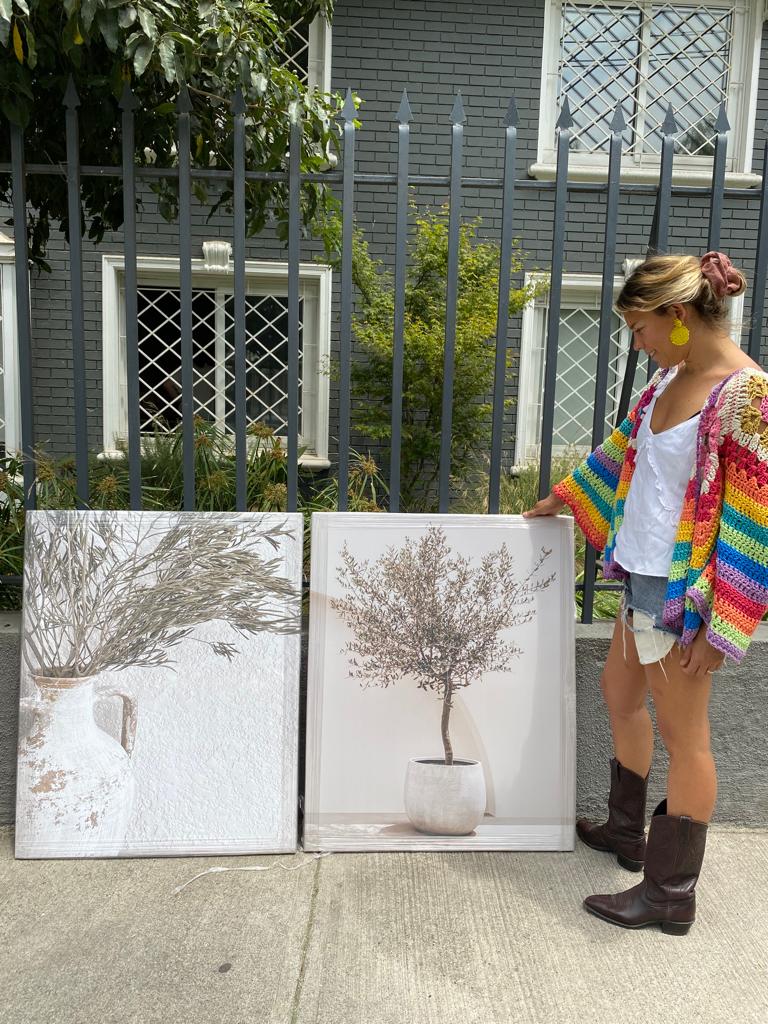 CANVAS CONJUNTO OLIVO