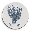 Bastidor Circular Coral Spongia