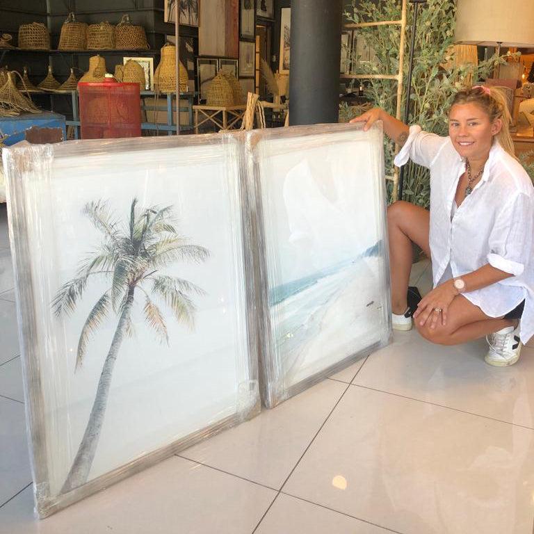 Conjunto Palmera y playa