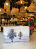 Canvas Palmeras africa