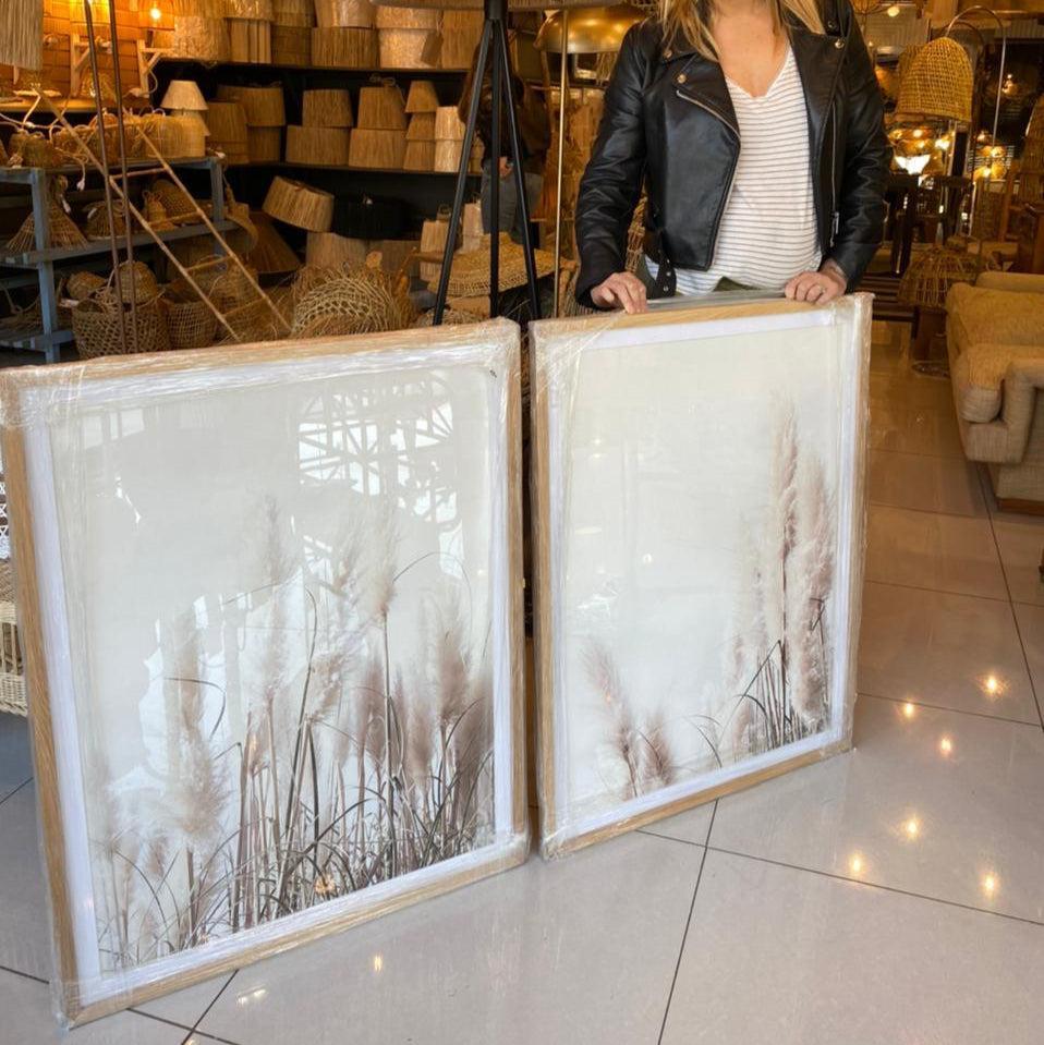 CONJUNTO PAMPAS