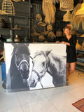 CANVAS CABALLOS