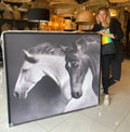 CANVAS CABALLOS II
