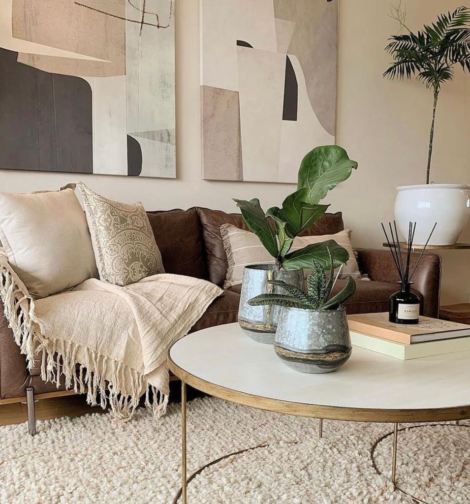 CANVAS CONJUNTO COCODRILO