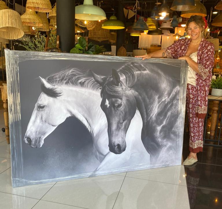 CANVAS CABALLOS II