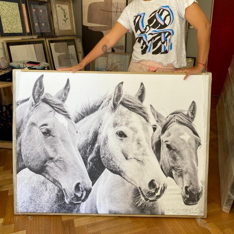 CANVAS TRÍO CABALLOS B&N